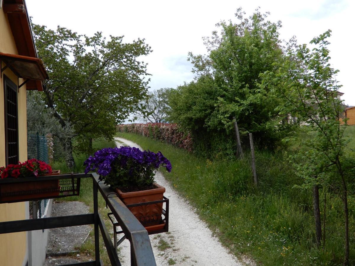 Bed and Breakfast Il Gelsomino Frasso Sabino Exteriér fotografie